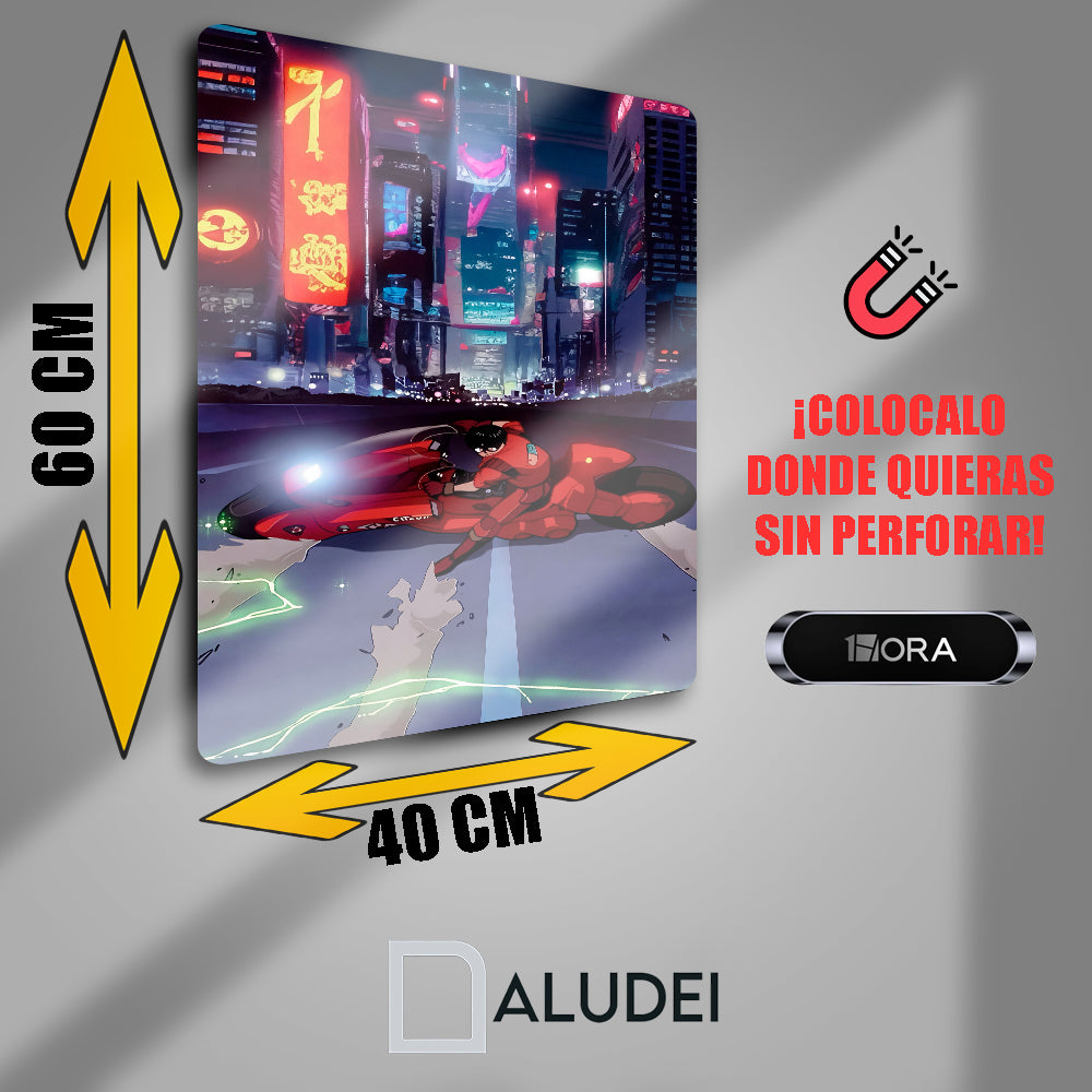 AKRA CUADRO DE ALUMINIO SUBLIMADO 40X60 CM