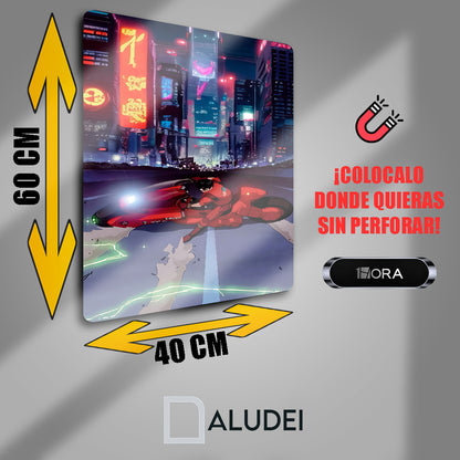 AKRA CUADRO DE ALUMINIO SUBLIMADO 40X60 CM